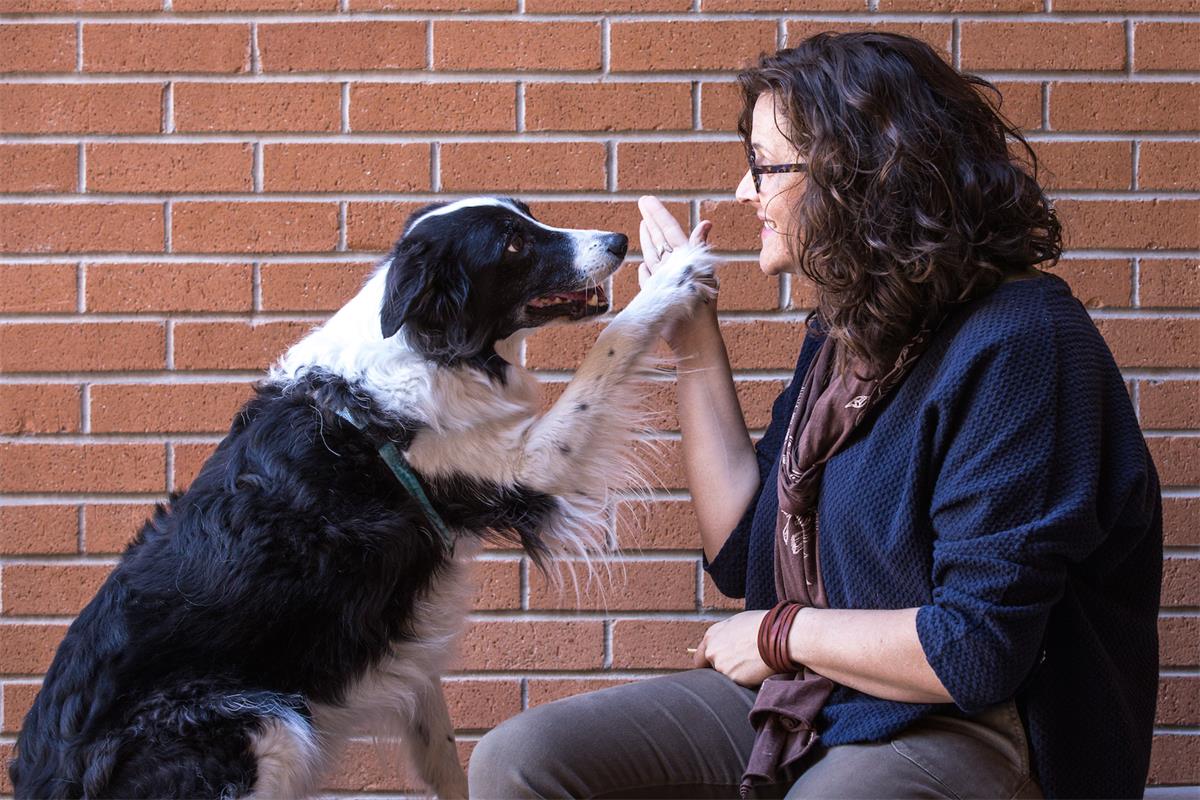Lisa Gunter high-fives her dog